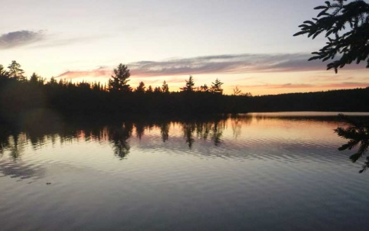 A body of water framed by trees reflects the sunrise or sunset